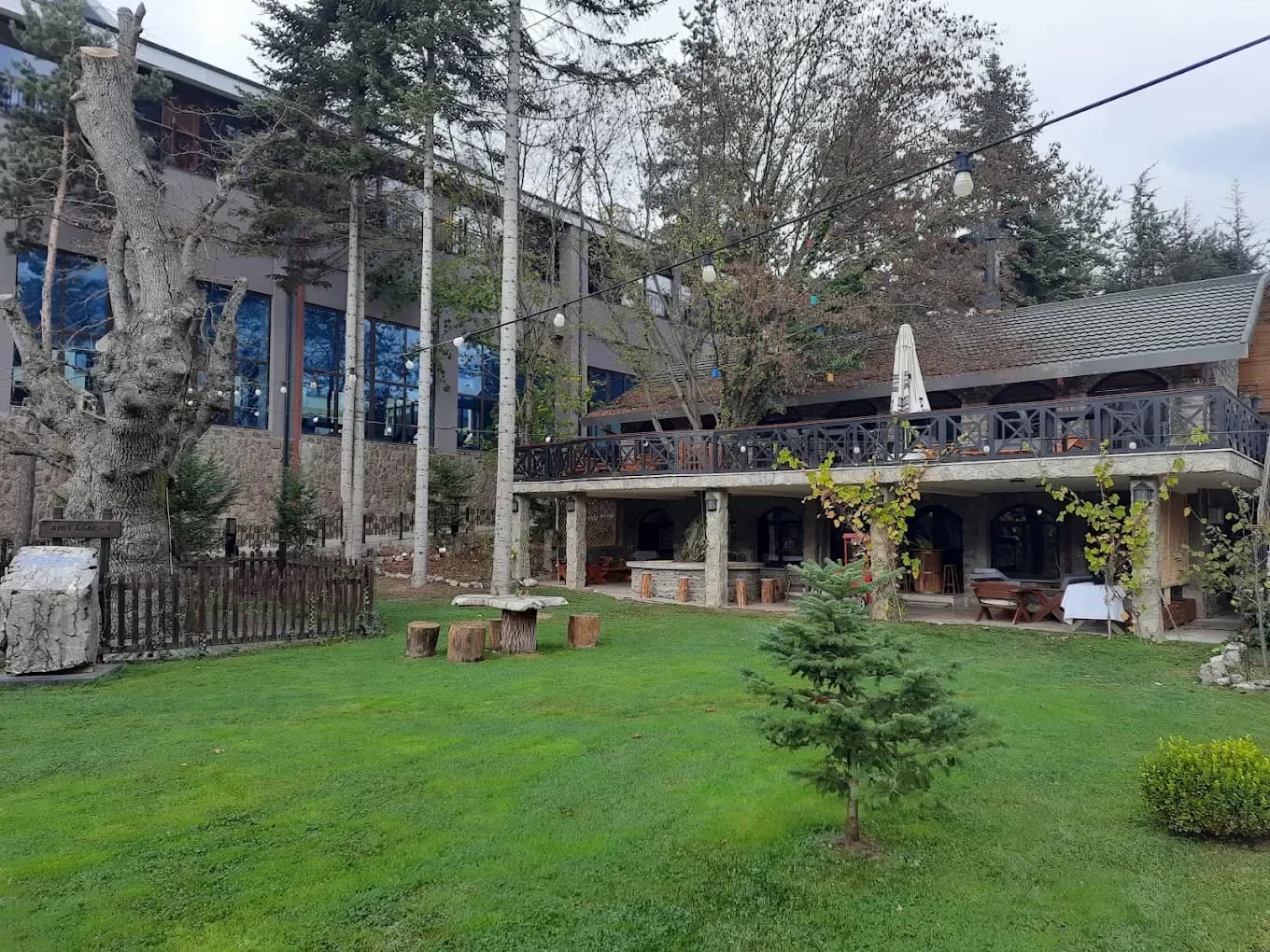 Bolu Koru Hotels Spa & Convention – Abant Otel – Fotoğraf 2