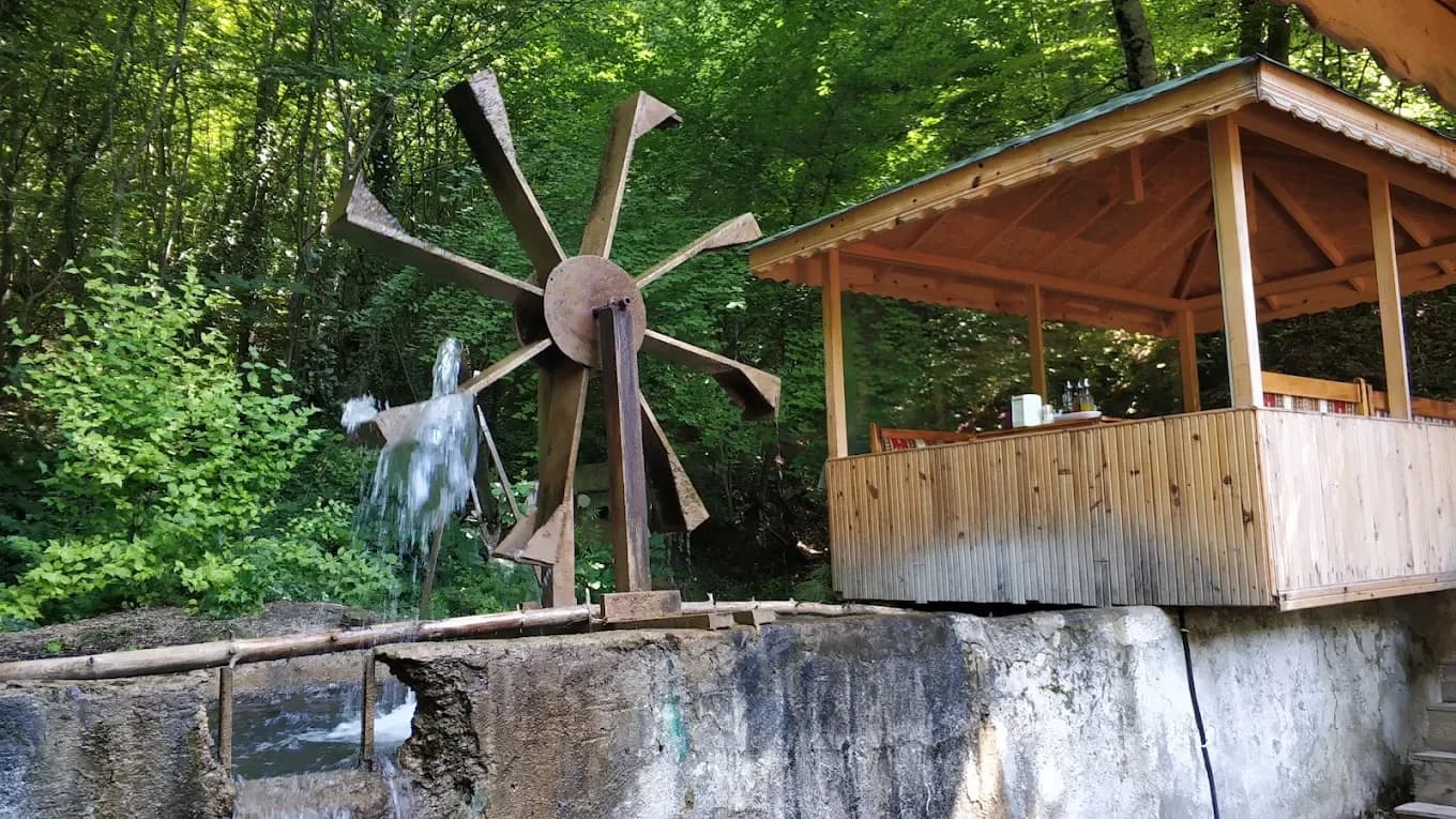 Abant Havuzbaşı Restaurant - Kahvaltı - Kuzu Çevirme -Alabalık – Abant Restoran – Fotoğraf 2