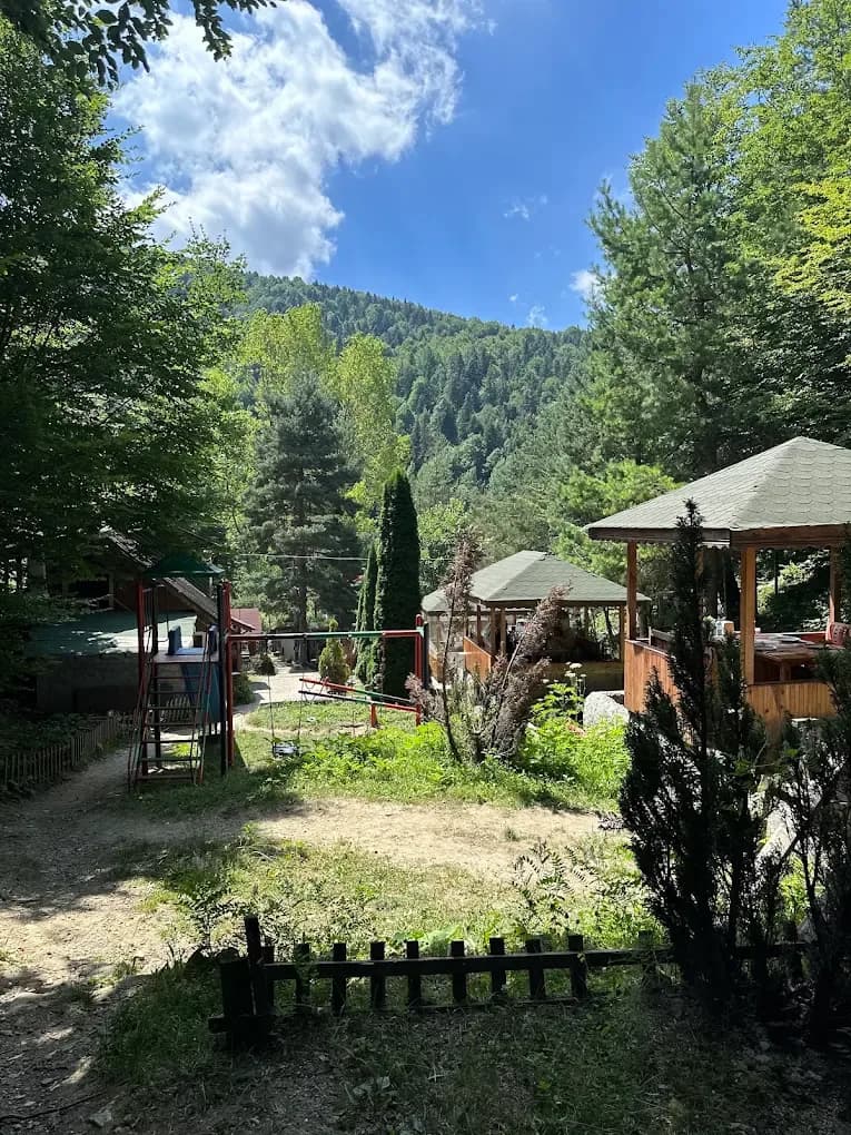 Abant Havuzbaşı Restaurant - Kahvaltı - Kuzu Çevirme -Alabalık – Abant Restoran