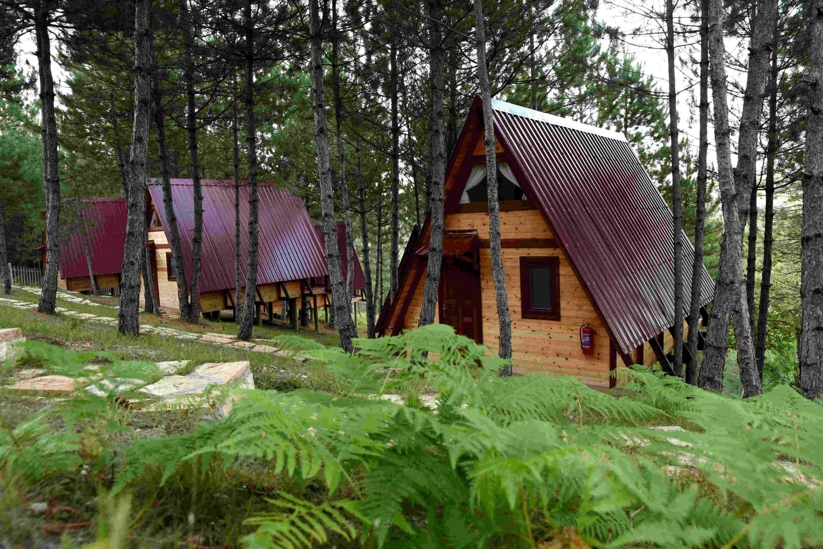 Fikri Atalay Konağı - Bungalov Evleri Bolu – Abant Bungalov